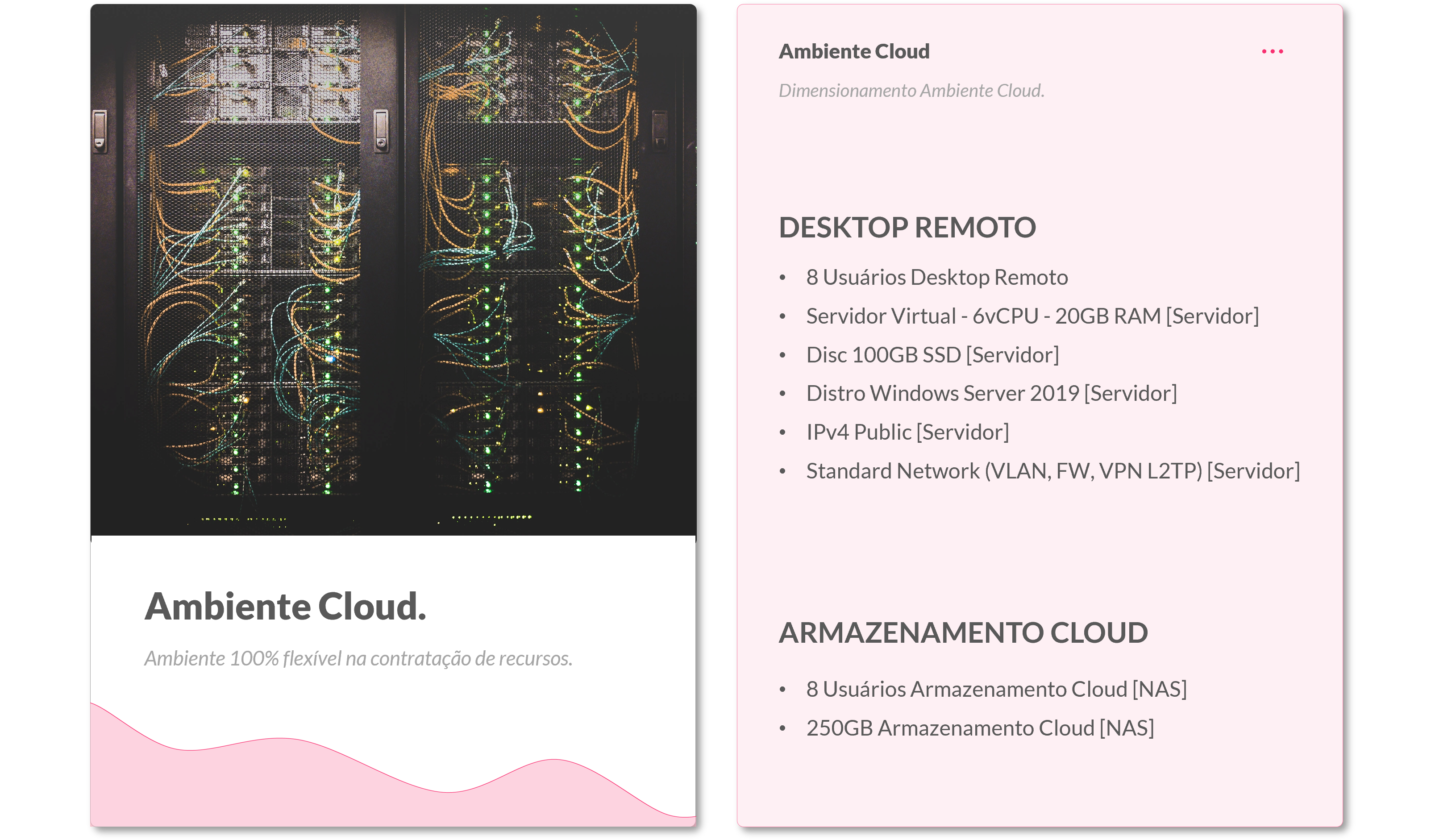 Opção 2. Características do dimensionamento de um ambiente na nuvem (Desktop Remoto e Armazenamento Cloud).