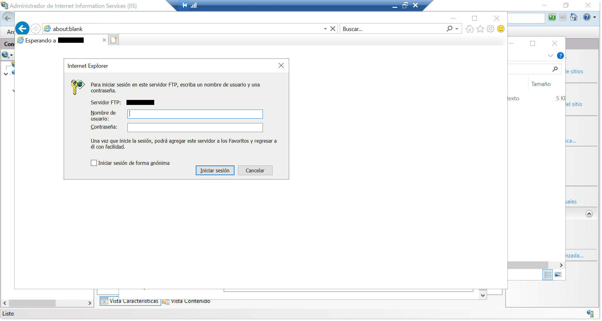 Cómo Instalar Y Configurar Un Servidor FTP En Windows (IIS)