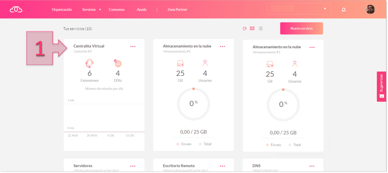 Paso 1: Accedemos a Centralita Virtual