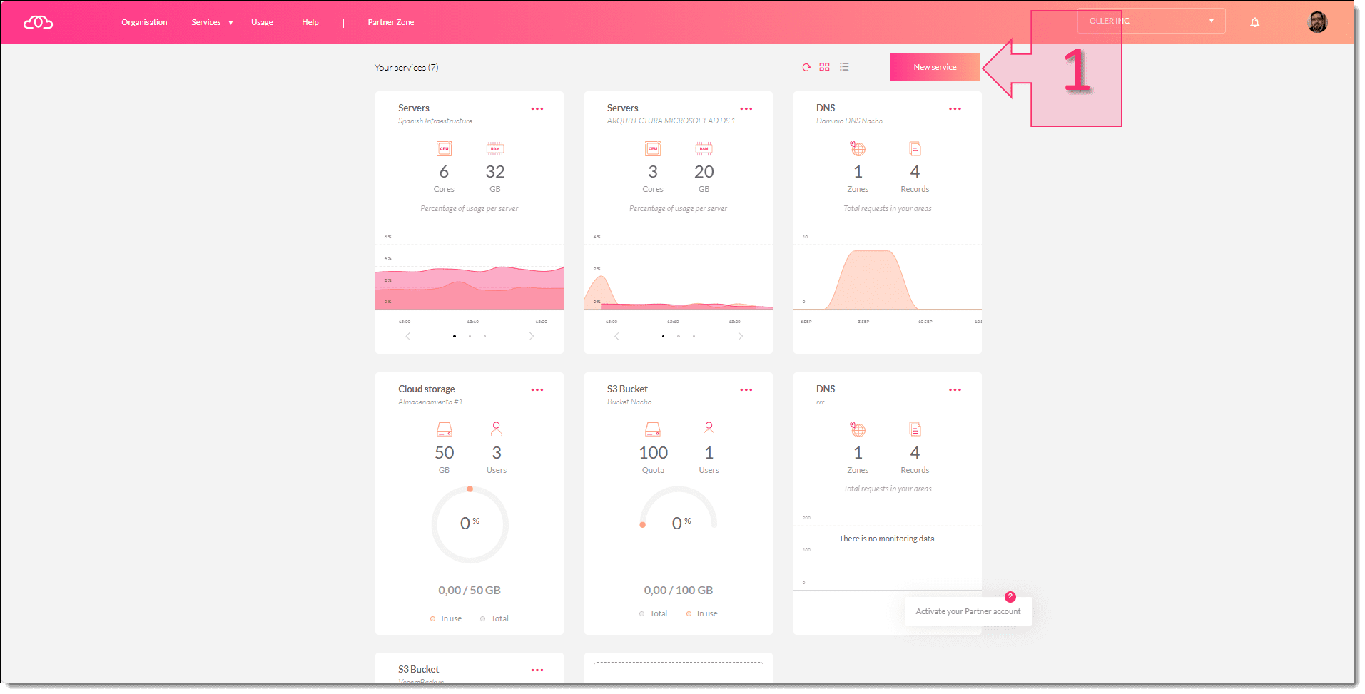 Paso 1. Accedemos al menú de servicios para desplegar el Disaster Recovery