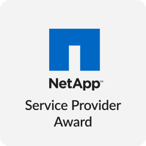 Jotelulu NetApp service provider award